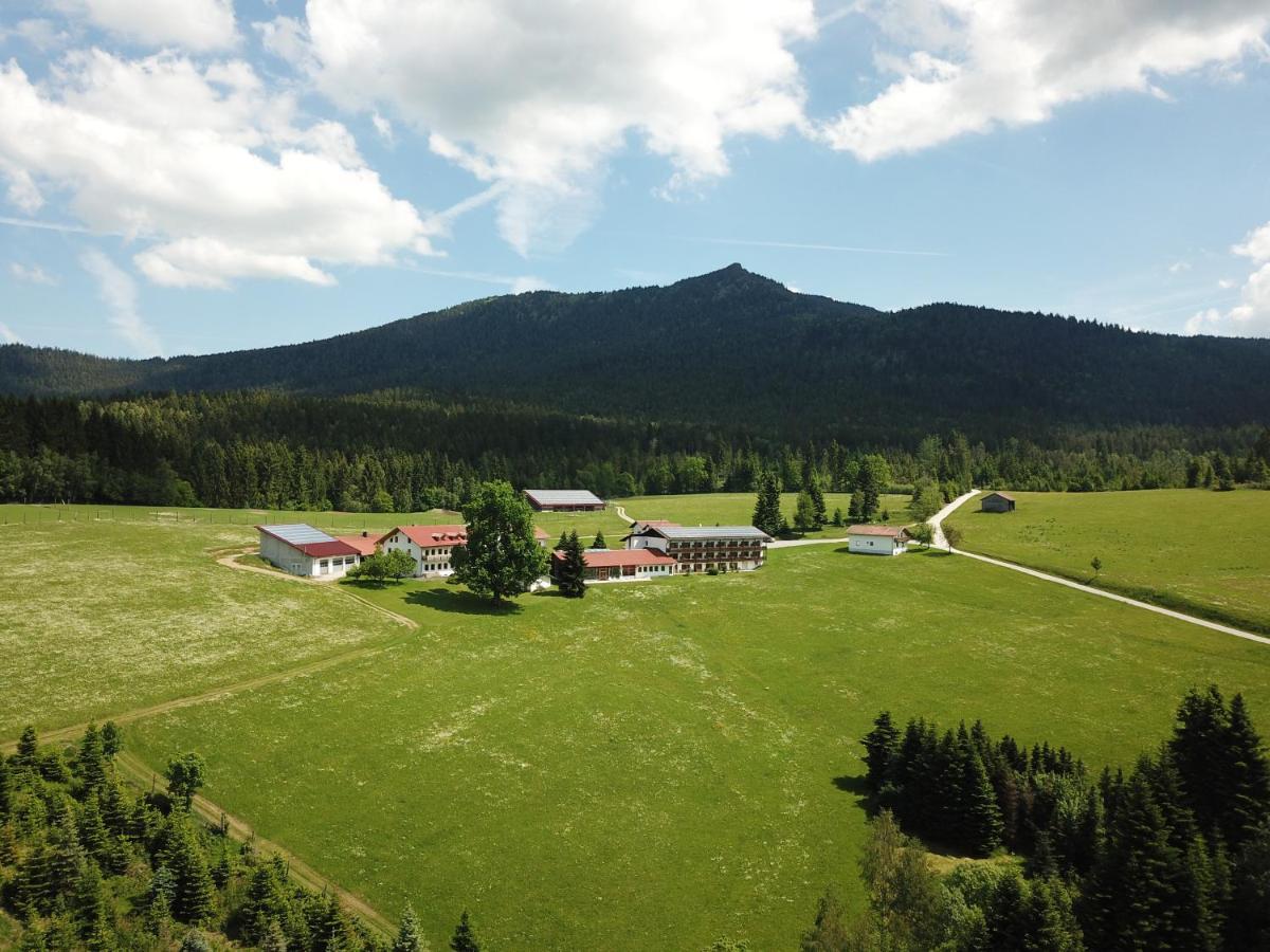 Osserhotel Garni Lohberg Exterior foto