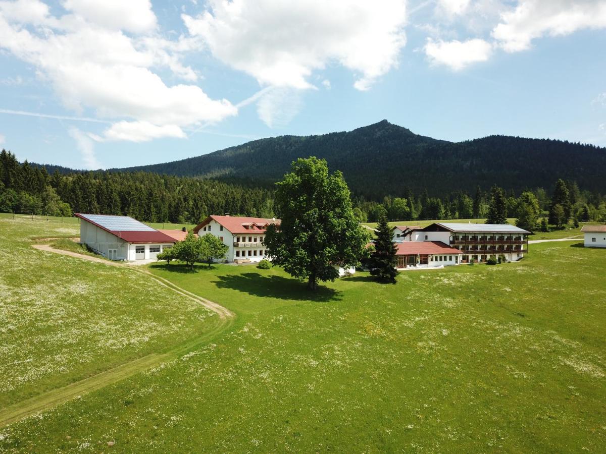 Osserhotel Garni Lohberg Exterior foto