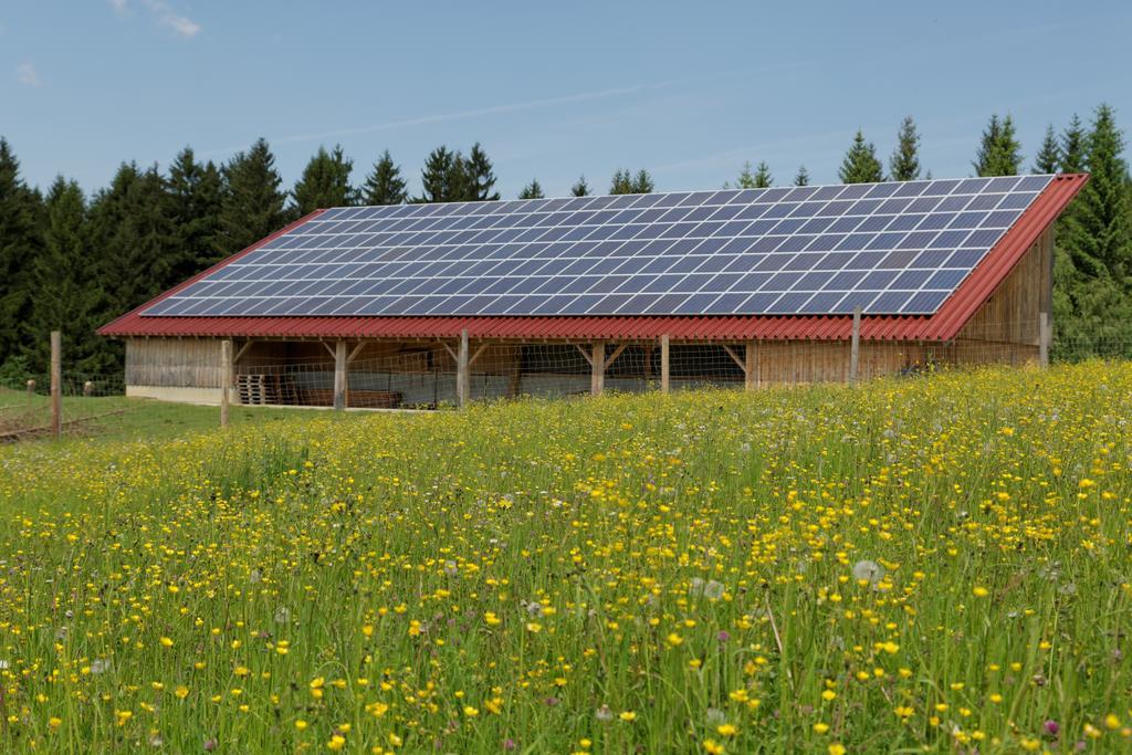 Osserhotel Garni Lohberg Exterior foto