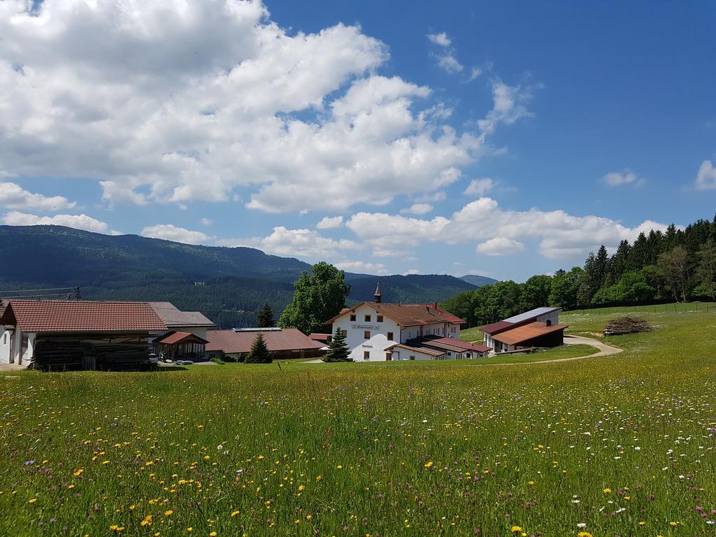 Osserhotel Garni Lohberg Exterior foto